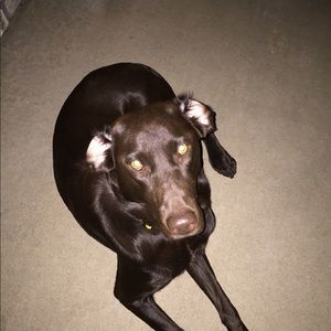 Meet your Posher, Cammie